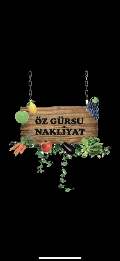 Öz Gürsu Nakliyat - Gürsu Nakliyat