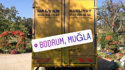 Dalyan Nakliyat - Güzelbahçe Nakliyat