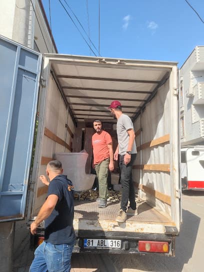 Gebze nakliye - Gebze Nakliyat